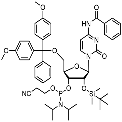 N-ブロック-5'-O-DMT-2'-O-TBDMS CED シチジン ホスホラミダイト